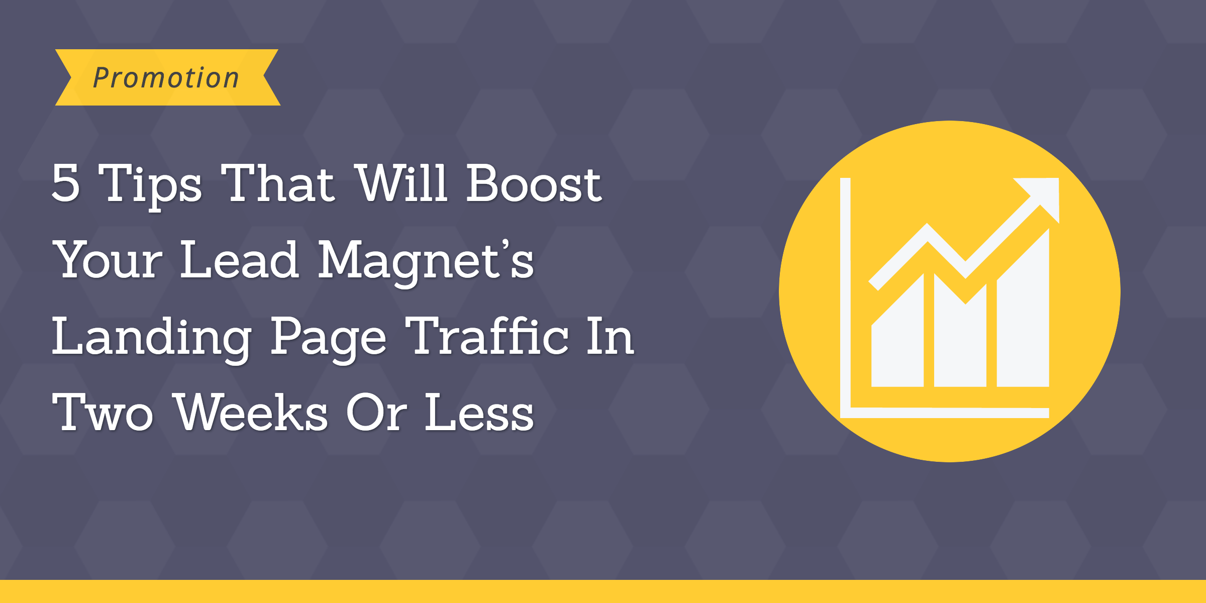 lead magnets landing page traffic